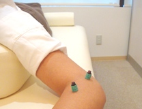 10�N��̏Ί�̂��߂�